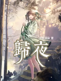 归夜-d480