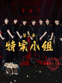 TNT：特案小组2