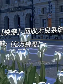 快穿之回收无良系统