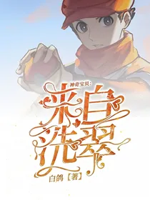 神奇宝贝：来自洗翠