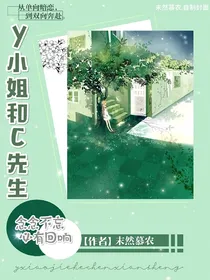 Y小姐和C先生