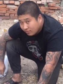 鬼畜全明星之虎哥我不做梗了