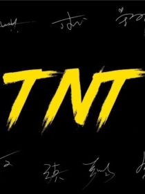 TNT：捉不住的秘密