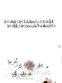 梦想D