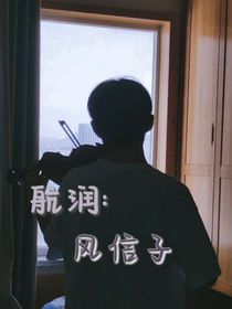 航润：风信子