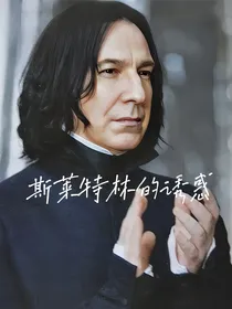 HP之斯莱特林的诱惑