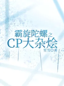 霸旋陀螺之CP大杂烩