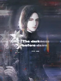 HP—黎明前的黑暗-d444