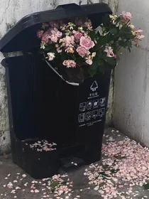 爸爸的遗产