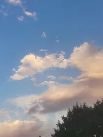 海王她又翻车了