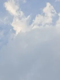 未得