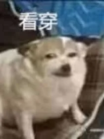 蛋族与龙族