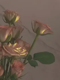 前男友的哥哥居然是我未婚夫