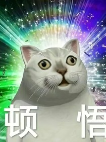 篮球天才是我的