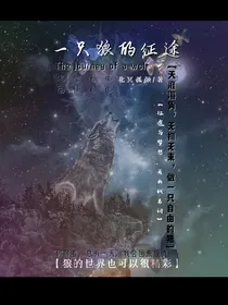一只狼的征途
