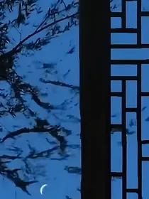 穷屌丝窃取修仙机密