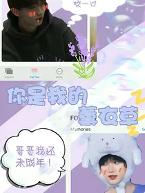 你是我的薰衣草