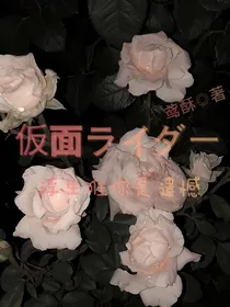 假面骑士：浮生唯你是遗憾