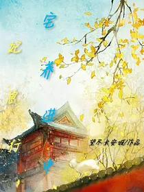 宅妃养崽进行中