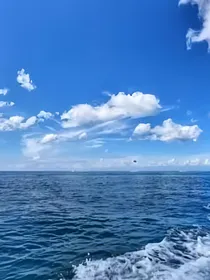 当人类发现神秘以后