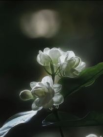 沉沦还是攀升