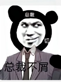 霸道总裁爱上我之王总别生气