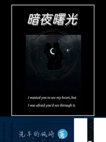 暗夜曙光z
