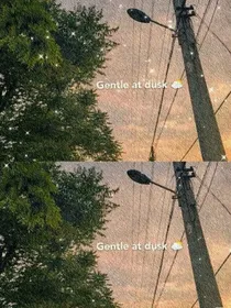 团宠不好当TNT同人文