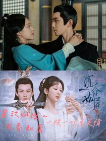 星汉灿烂and沉香如屑：一枝一叶总关情