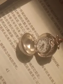 飞鸟集：全
