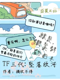TF三代：坠落欣河