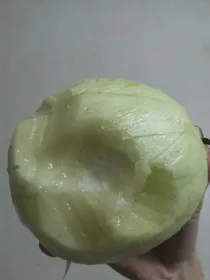 温柔本柔