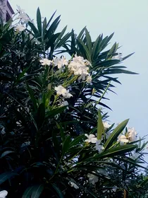 悔于一旦