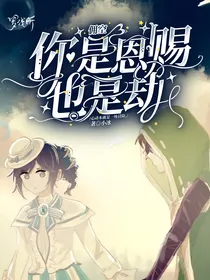 佣空：你是恩赐也是劫