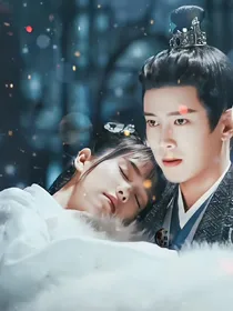 周生如故之雪漫西州城