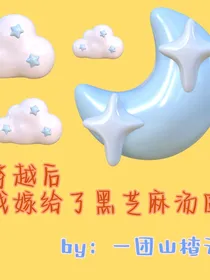 穿越后我嫁给了黑芝麻汤圆
