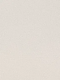 TNT：我好像把你弄丢了