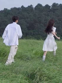 爱意随风起，意难平