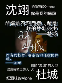 羽上之城