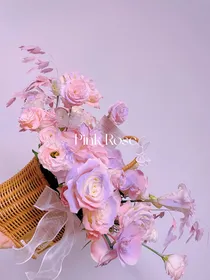 瞎子王爷傻子妃