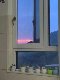 读诗