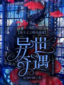 战斗王之飓风战魂：异世奇遇