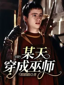 HP：某天穿成巫师
