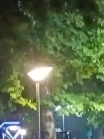 门第重生逆袭