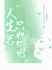 清穿之人生若只如初见