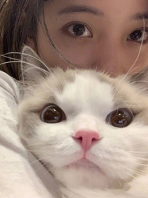 我来管教你
