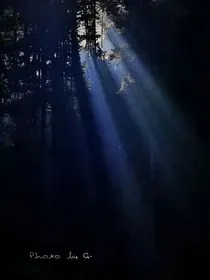 绝世传说：黑暗的黎明