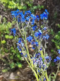 我的虚拟游戏