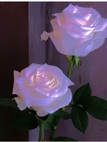 TF家族：朱之鑫和苏新皓是他哥