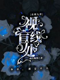 查理九世：视线盲处